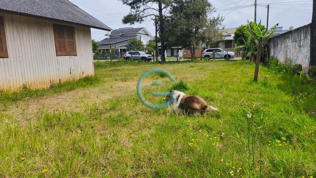 residential-/-land-lot-centro-passo-de-torres-sc